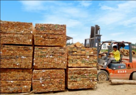 鐵杉木方加工圖片