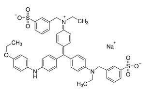 考馬斯亮藍(lán)R250圖片