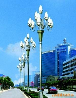 中華燈價(jià)格圖片