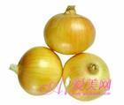 供應(yīng)甘藍(lán)生產(chǎn)基地供應(yīng)商