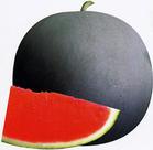 供應(yīng)湖北西瓜