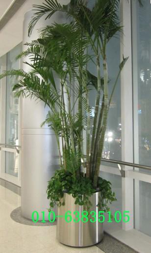 供應(yīng)不銹鋼花盆7