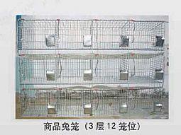 兔子專(zhuān)用籠圖片/兔子專(zhuān)用籠樣板圖 (3)
