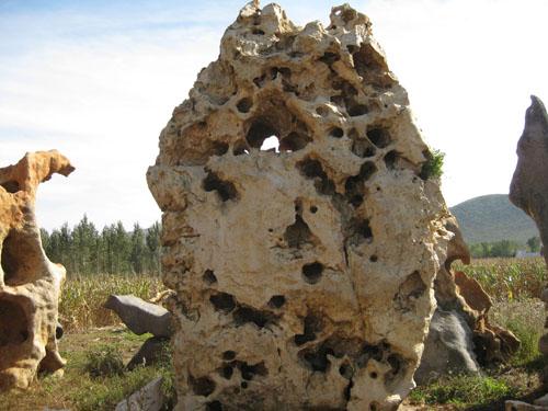 供應(yīng)河南太湖石景觀假山石