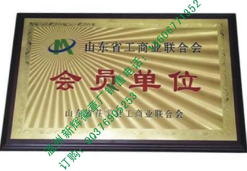 供應(yīng)浙江溫州新輝銅牌獎牌科室牌