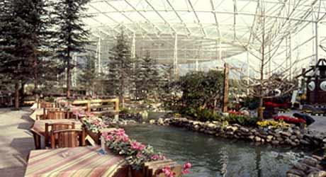 供應(yīng)九寨溝冬季酒店*，九寨溝特價(jià)酒店*