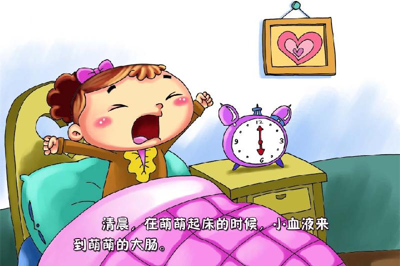 供應(yīng)VCM仿真實(shí)驗(yàn)幼兒科普12小血液的*