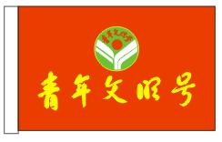 彩旗制作圖片/彩旗制作樣板圖 (2)