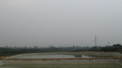 大量供應(yīng)優(yōu)質(zhì)汪釘頭魚苗