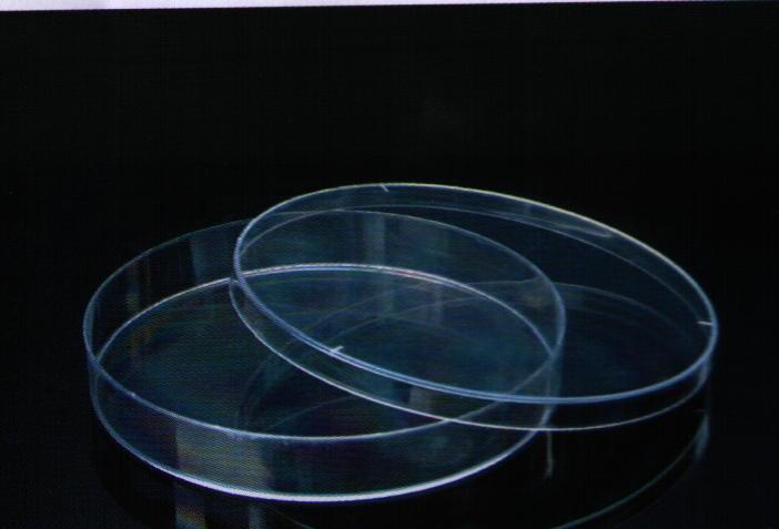 供應(yīng)載玻片蓋玻片培養(yǎng)皿沈陽教學(xué)儀器