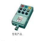 供應(yīng)浙江防爆操作柱防水防塵操作柱