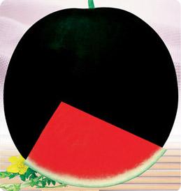 供應(yīng)優(yōu)質(zhì)陸地黑無籽