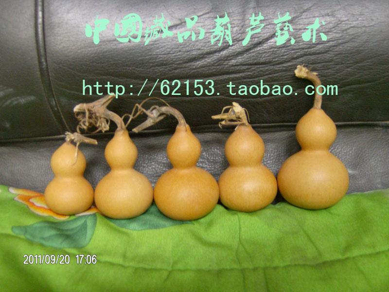 供應(yīng)批發(fā)小手捻葫蘆美國小葫蘆鐵包金2