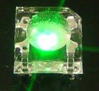 3MM食人魚(yú)綠光圖片