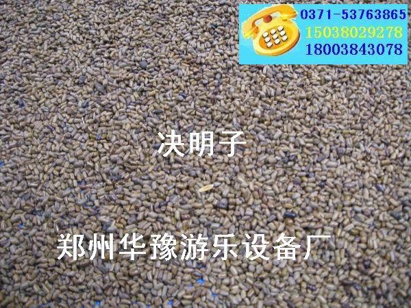 供應(yīng)華豫游樂(lè)決明子沙灘樂(lè)園