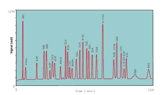 液相氨基酸分析18AA19AA图片