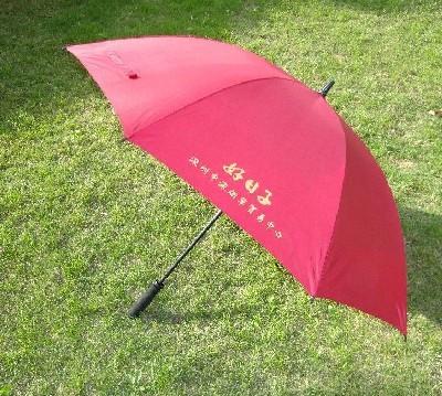 安徽合肥圖片/安徽合肥樣板圖 (4)