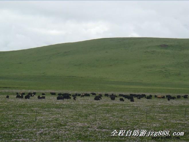 供应九寨沟黄龙旅游3日游行程线路攻略