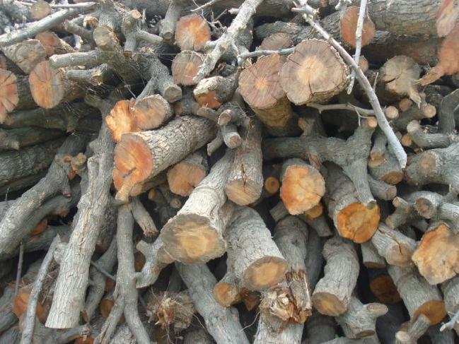 供應(yīng)雕刻棗木燒薰棗木大量供應(yīng)棗木