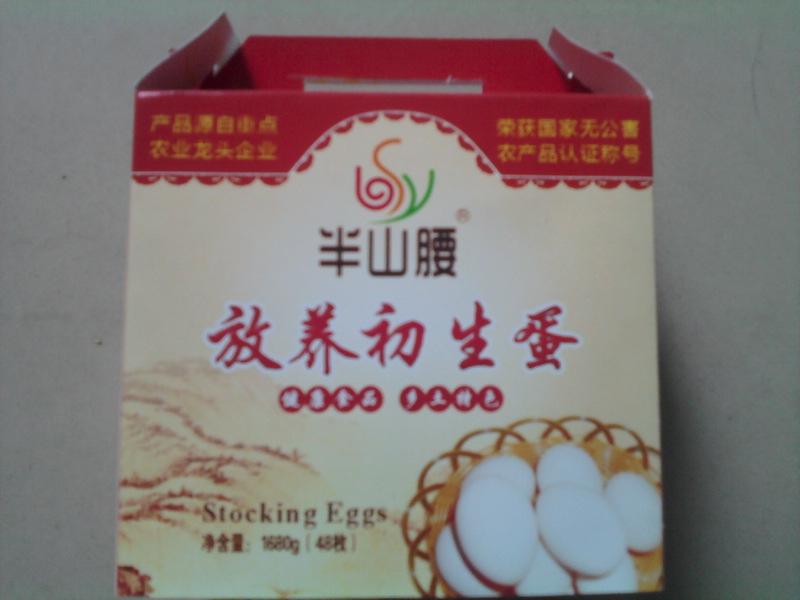 供應(yīng)廣州哪里有賣農(nóng)家蛋