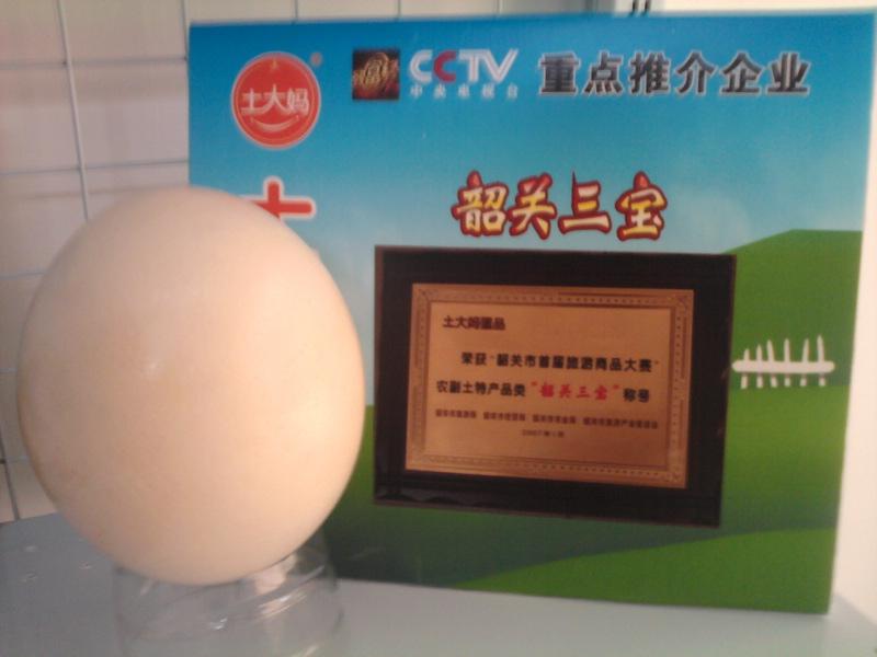 供應(yīng)鴕鳥蛋怎么打開