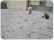 外墻防水補漏圖片/外墻防水補漏樣板圖 (3)