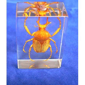 供應LED模組電容電子灌封電子封裝