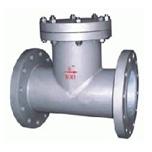 TG型T型過濾器圖片