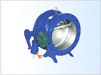 蝶式緩沖止回閥圖片