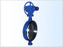 D373H渦輪傳動對夾式硬密封蝶圖片