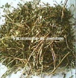 供應榕樹須批發(fā)云霧草批發(fā)