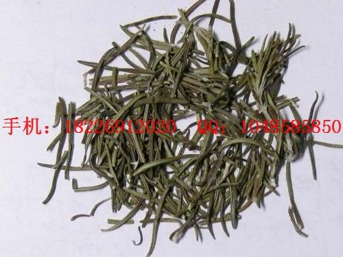 優(yōu)質(zhì)迷失香批發(fā)價(jià)格圖片
