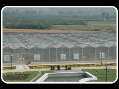 供應(yīng)專業(yè)pc板溫室大棚骨架設(shè)計與生產(chǎn)