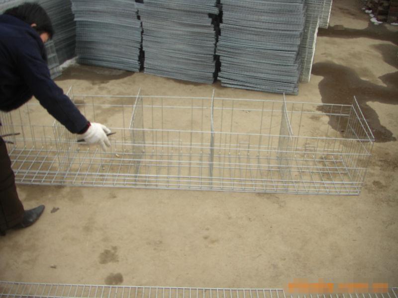 山東省雞鴿兔籠廠家電話圖片