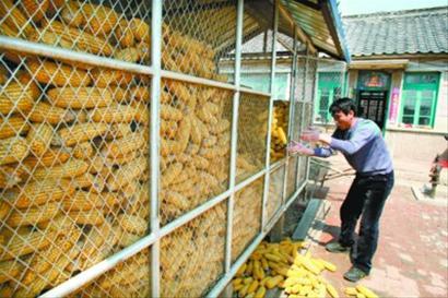 供應黑龍江省糧倉通風*網(wǎng)廠家電話