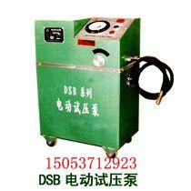 6DSB電動(dòng)試壓泵圖片