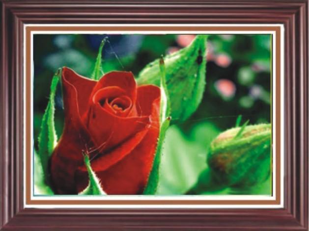 仿真草地音箱、同軸園林音箱、公共廣播系統(tǒng)、廣播系統(tǒng)、壁畫音箱