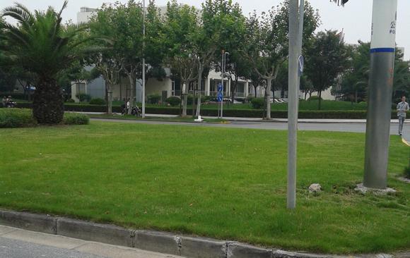 江津區(qū)綠化養(yǎng)護(hù)工程公司 江津區(qū)園林綠化養(yǎng)護(hù)工程公司