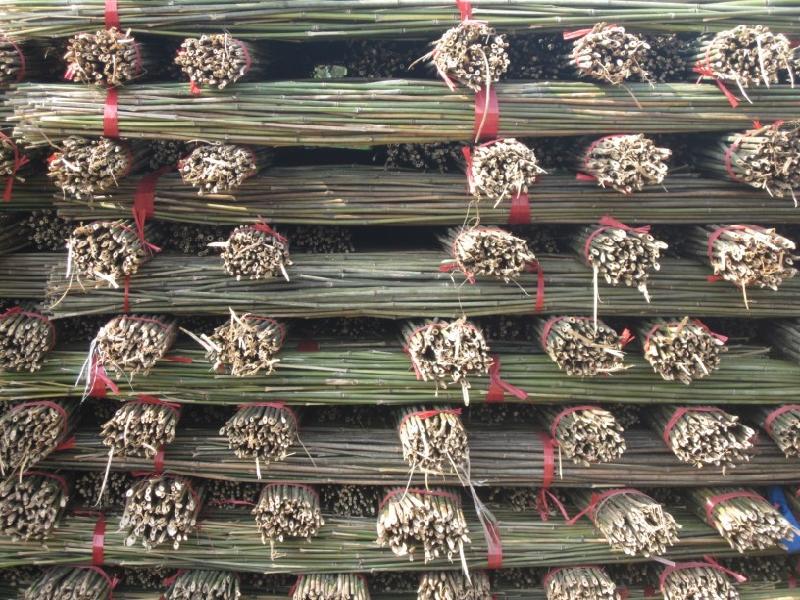 供應(yīng)菜架竹，架菜，毛竹，小山竹 菜架竹架菜毛竹小山竹