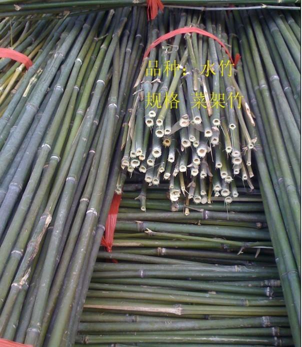 供應(yīng)菜架竹，架菜，毛竹，小山竹 菜架竹架菜毛竹小山竹