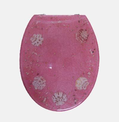 供應(yīng)臺州馬桶蓋模具黃巖馬桶蓋模具價