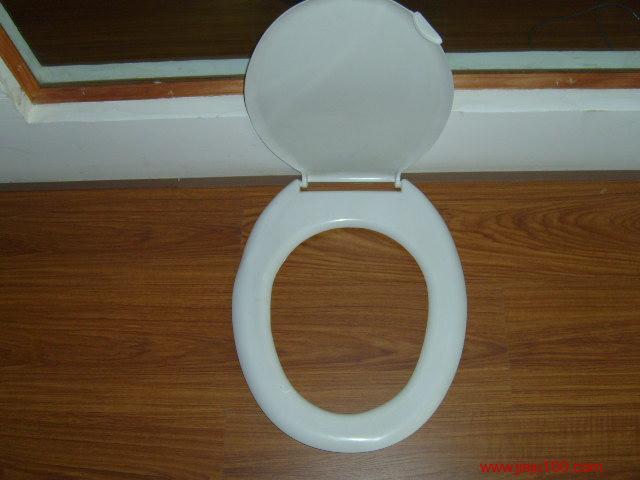 供應(yīng)馬桶蓋模具坐便器模具黃巖專業(yè)制