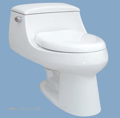 訂做各種高質(zhì)量塑料馬桶蓋模具圖片