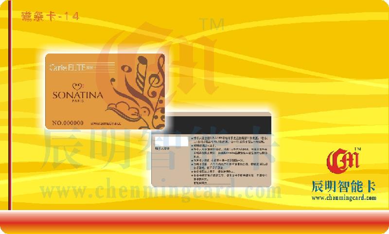 供應(yīng)彩印磁條卡、磁卡