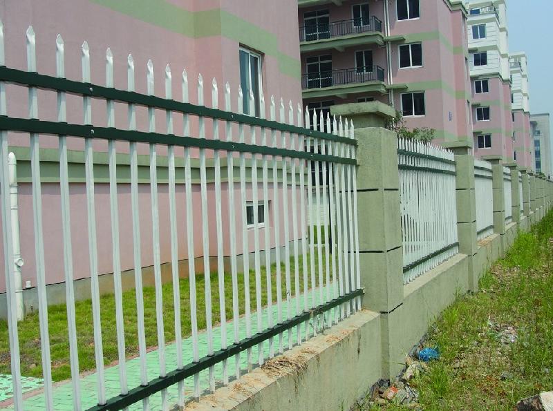 安平縣園林防護網(wǎng)圖片