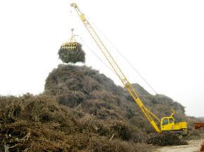 供應(yīng)抓木機(jī)木材裝卸堆高設(shè)備