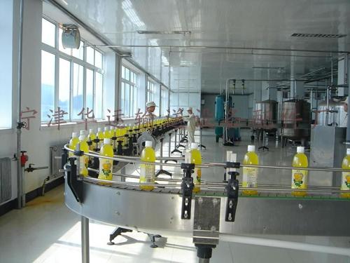 長城網(wǎng)鏈圖片