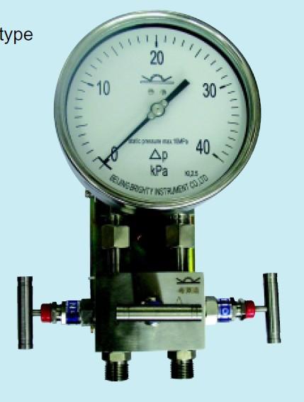 布莱迪双膜片式高静压差压表YCA图片