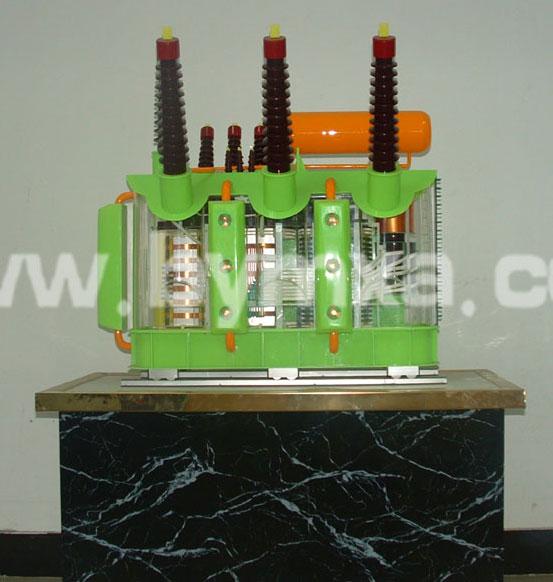 教學模型廠家電話圖片