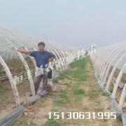 蔬菜大棚安裝，建蔬菜大棚要多少錢，河北衡水蔬菜大棚價格